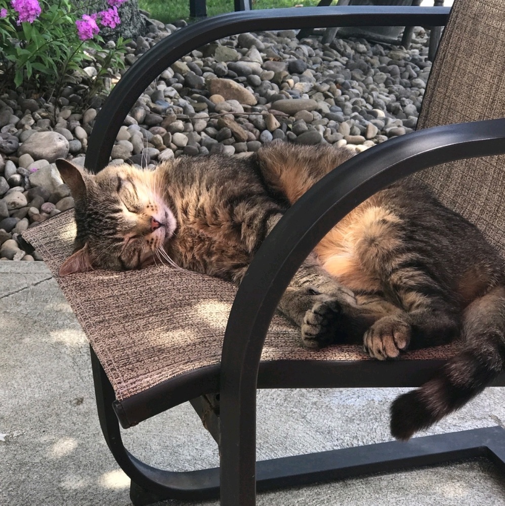 Meet your Posher, Adriane